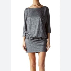 WHBM Drop Waist Metallic Dress Lined Size M EUC